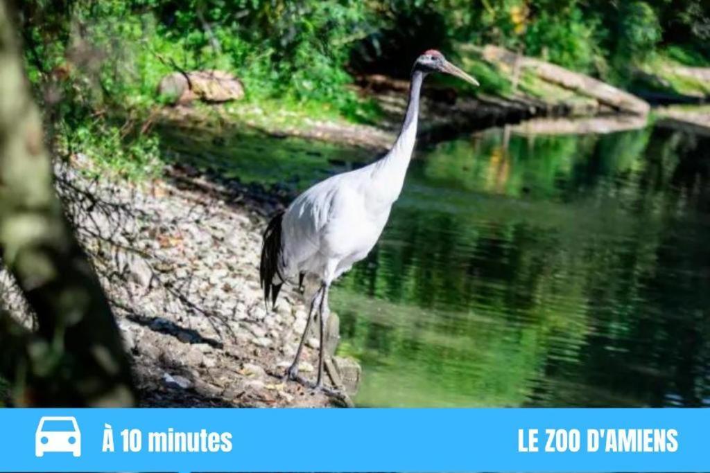 Grand T2 Gare Amiens Tout Confort 2Pers Wifi Exterior photo